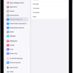 iPad passcode settings screen