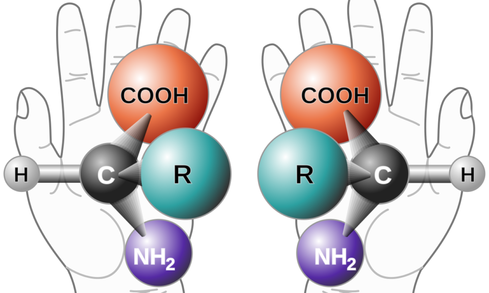 Illustration of molecular chirality using left and right hands for the 2026 Nobel Prize in Chemistry
