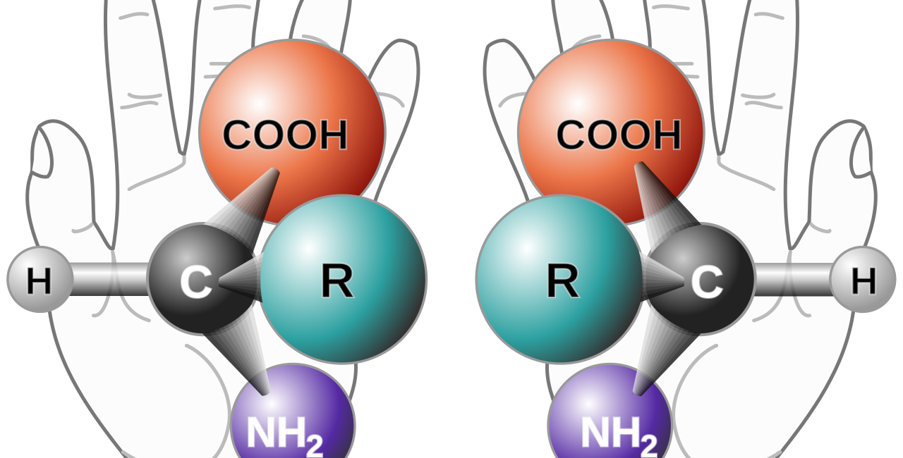 Illustration of molecular chirality using left and right hands for the 2026 Nobel Prize in Chemistry