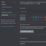 Discord roles and permissions interface