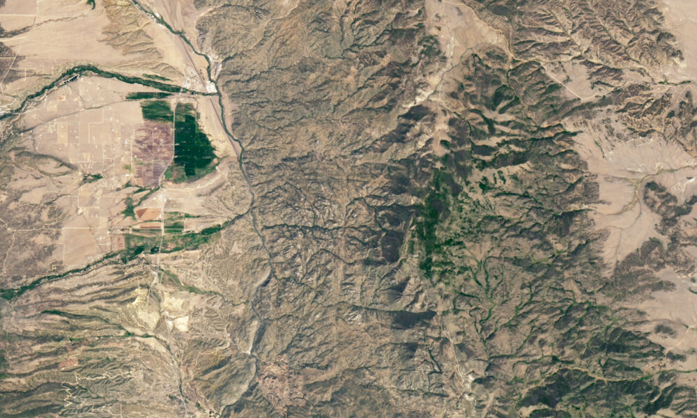 Actual Landsat 8 view of Browns Canyon National Monument in Colorado, June 2025