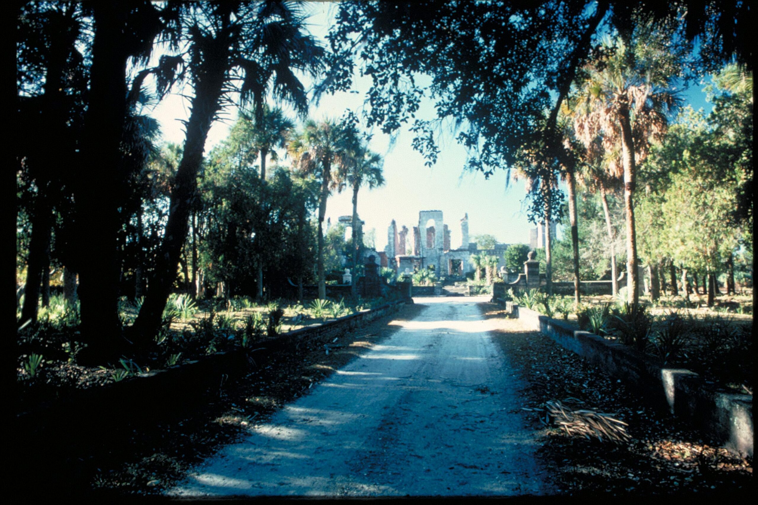 Real National Park Service photograph of Dungeness mansion ruins on Cumberland Island, Georgia, framed by palms and trees beside a sandy path