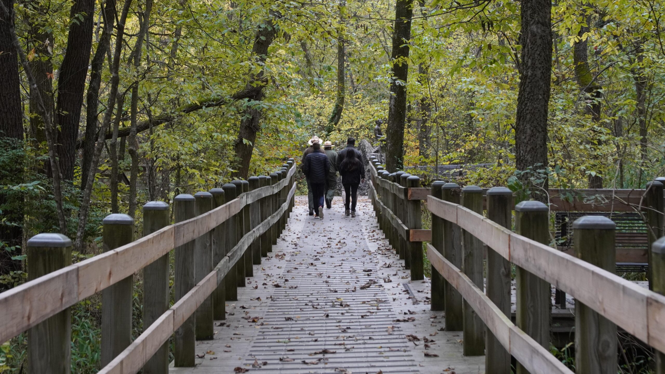 Visitors walking the real woodland boardwalk on the Carver Trail at George Washington Carver National Monument