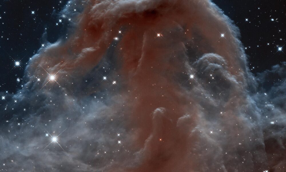 Real 2013 Hubble infrared photograph of the Horsehead Nebula in Orion showing the horse-shaped dust silhouette and wispy glowing rim