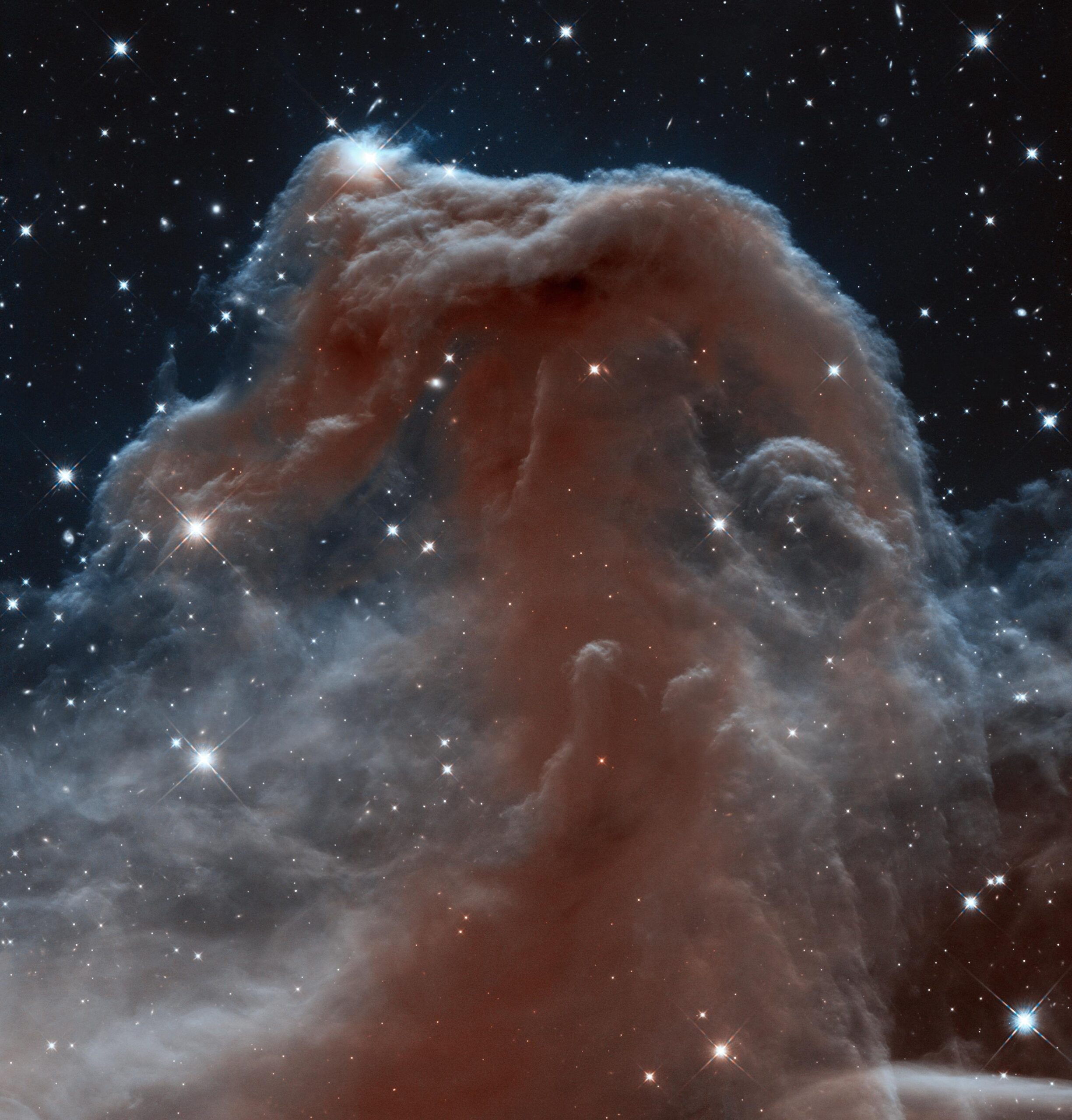 Actual NASA Hubble 2013 infrared photograph of the Horsehead Nebula Barnard 33 in Orion, showing the tall dusty head and illuminated edge