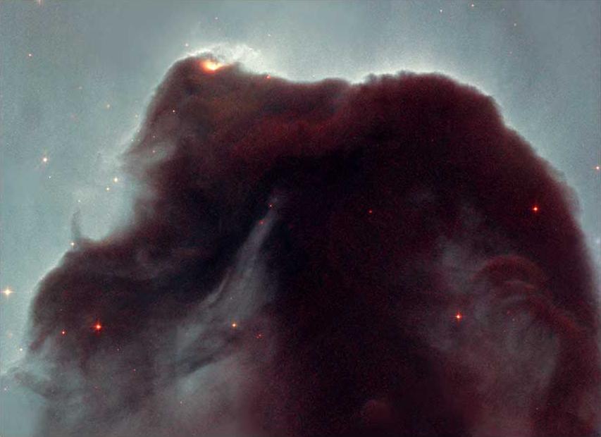 Genuine Hubble Heritage visible-light picture of Barnard 33: dark Horsehead Nebula dust silhouette against illuminated IC 434 gas