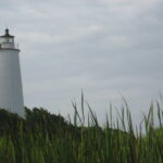 Real view of Ocracoke Lighthouse in North Carolina from coastal vegetation