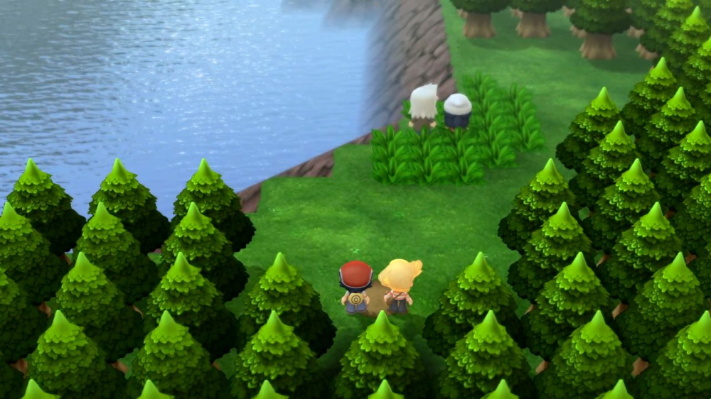 Actual Pokemon Brilliant Diamond Nintendo Switch gameplay showing the Sinnoh region