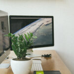 Real workspace with two physical computer monitors on a desk