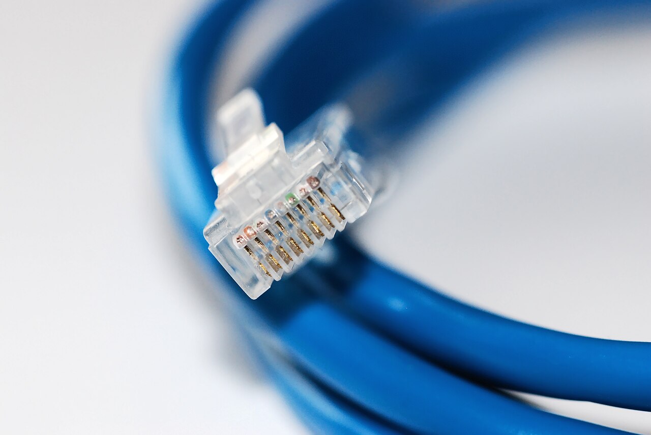 Photograph of an actual blue Ethernet patch cable with a clear eight-contact RJ45 connector