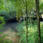 Real entrance of Russell Cave National Monument surrounded by forest in Alabama