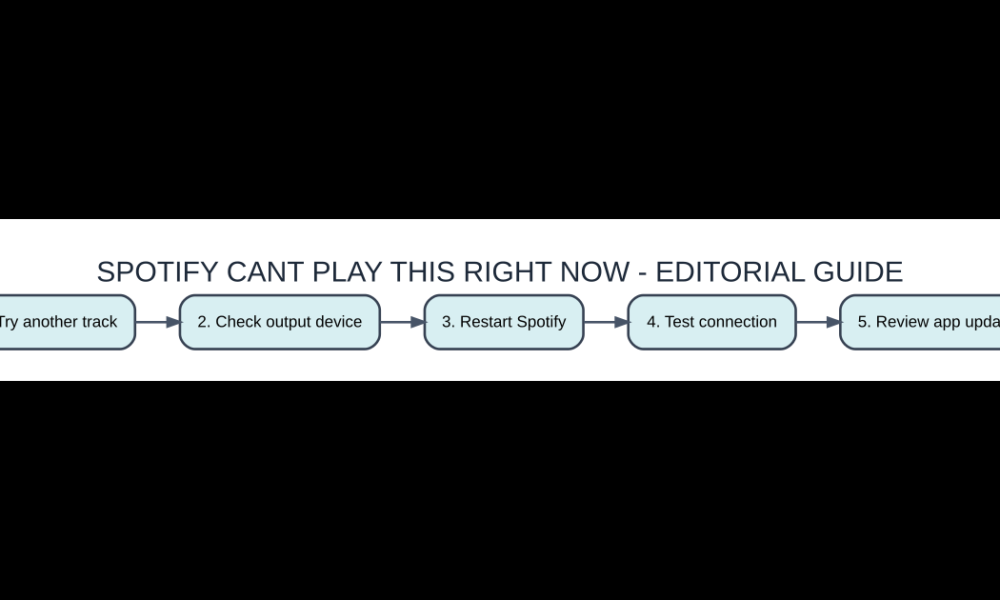 Original AVARIXO checklist: spotify cant play this right now