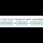 Original AVARIXO checklist: spotify cant play this right now
