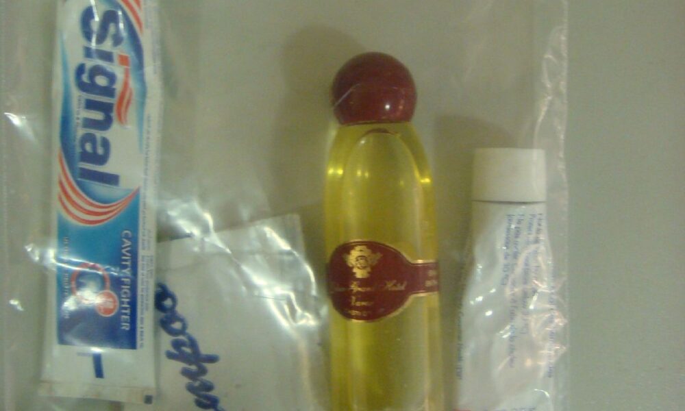 Travel-size liquid and gel containers inside a clear resealable airport security bag to illustrate TSA carry-on liquids rules