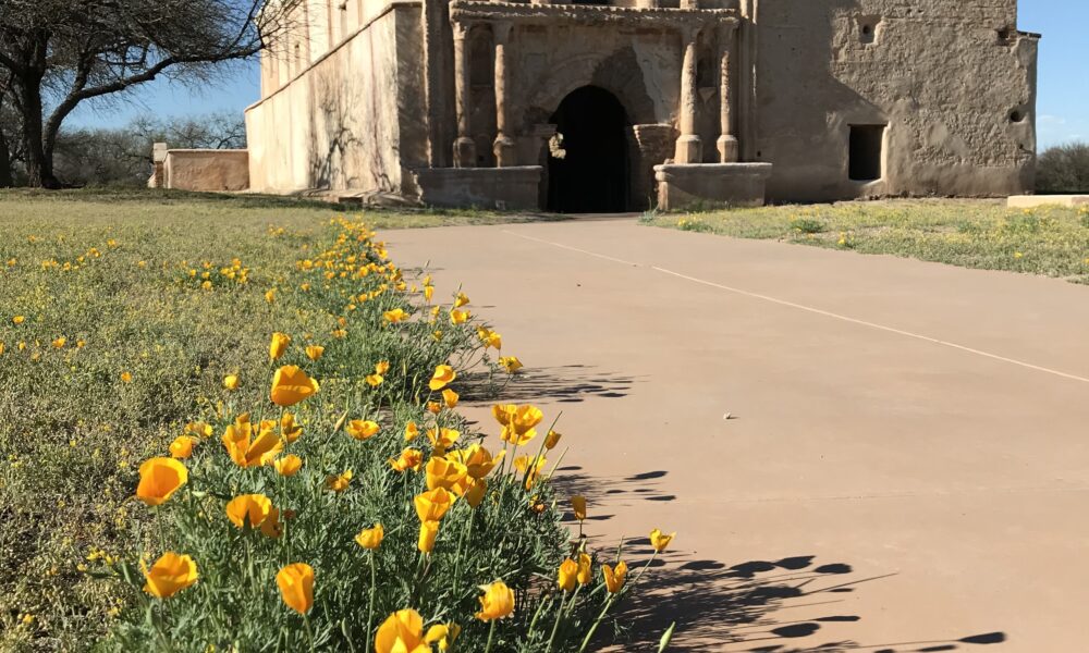 Historic adobe mission church at Tumacácori National Historical Park in Arizona, with yellow wildflowers