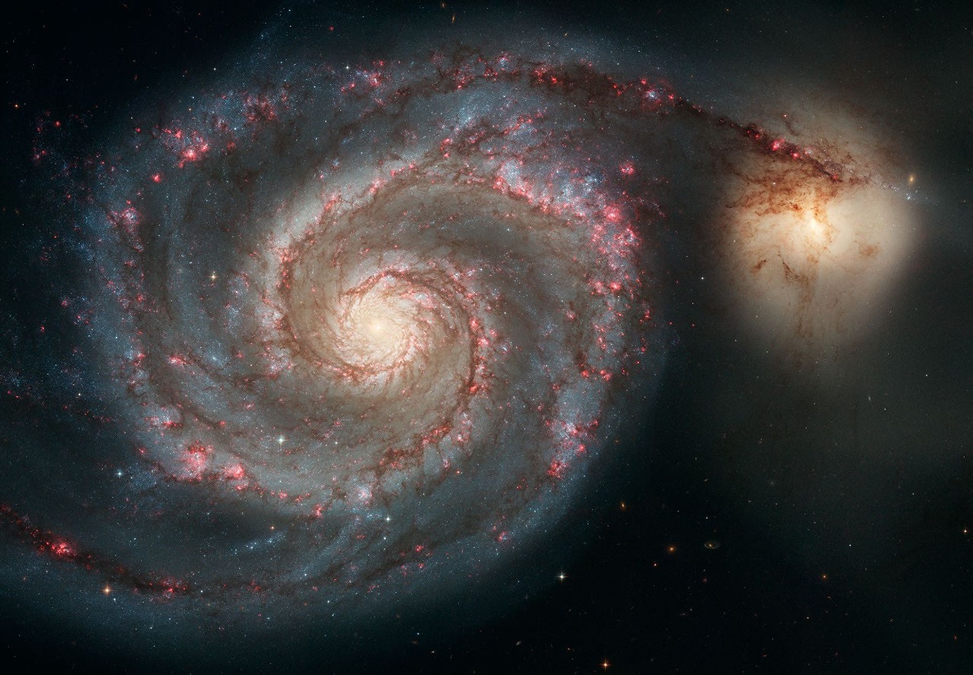 Real 2005 Hubble Space Telescope image of face-on Whirlpool Galaxy M51 with colorful winding spiral arms and smaller companion NGC 5195 at the edge