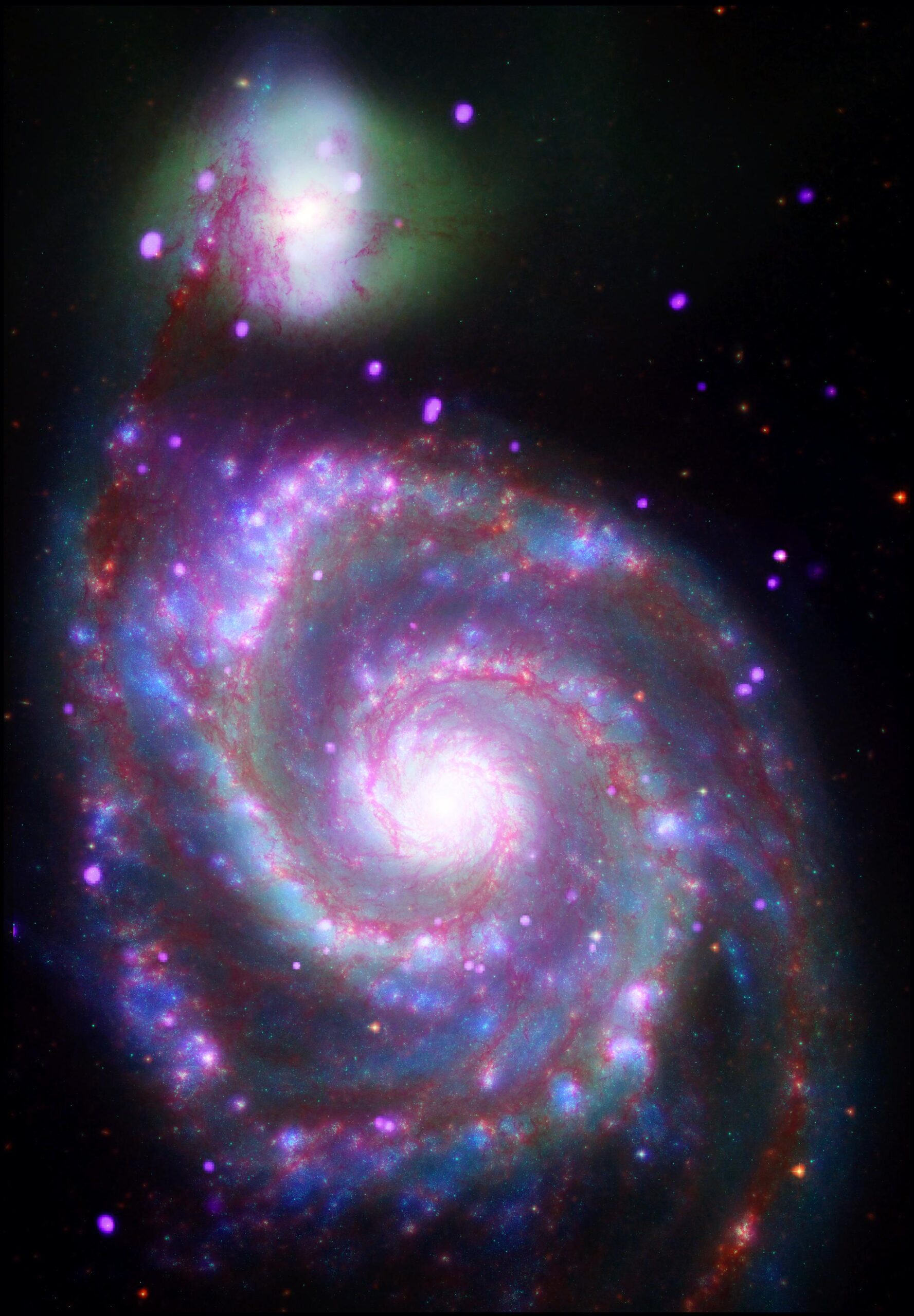 Authentic NASA 2007 multiwavelength photograph of Whirlpool Galaxy M51 combined from real Chandra Spitzer Hubble and GALEX observations