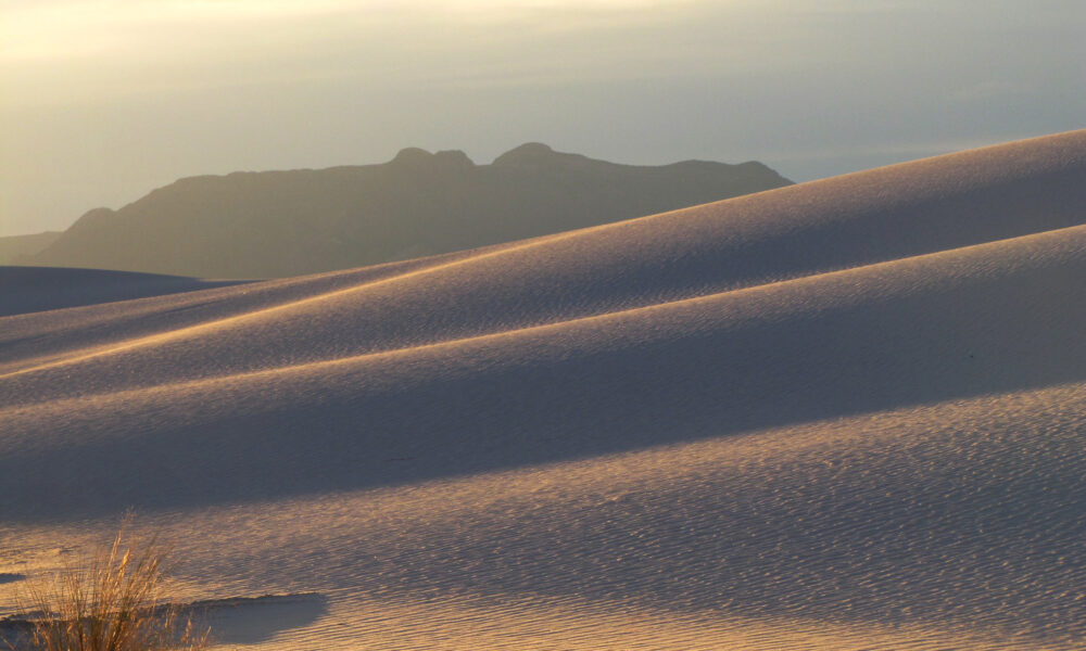 Genuine NPS photograph of white gypsum sand dunes and distant mountains at sunrise at White Sands National Park