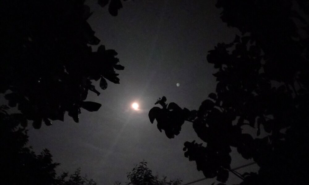 Full Moon glowing above trees in a 2024 archival photograph, illustrating viewing conditions for the October 26, 2026 Hunter's Moon.