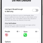 iPhone Do Not Disturb Focus settings