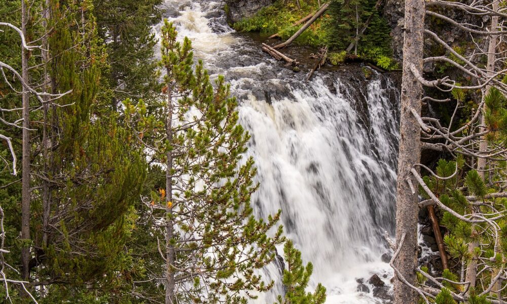 Real photograph of Kepler Cascades on the Firehole River at Yellowstone National Park, photographed by the U.S. Geological Survey