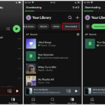 Spotify mobile Library showing downloaded items for offline playback