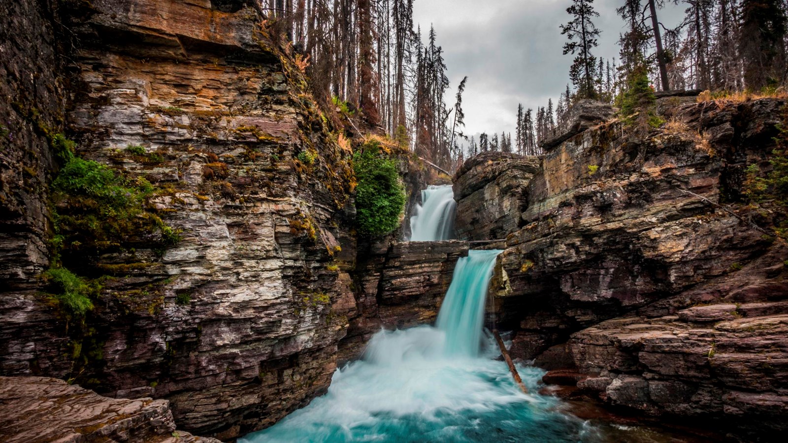 Authentic National Park Service image of turquoise water at the two-stage St. Mary Falls, with rocky gorge and burn-scarred trees in Glacier National Park