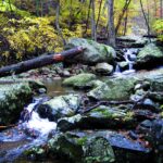 Real National Park Service photo of Whiteoak Canyon in Shenandoah National Park, Virginia, with a rushing rocky stream and waterfall landscape